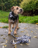 Funk the Dog Collar & Lead Set | Cow Print-5