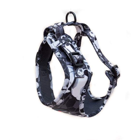 Funk the Dog Harness & Lead Set | Black & White Footballs