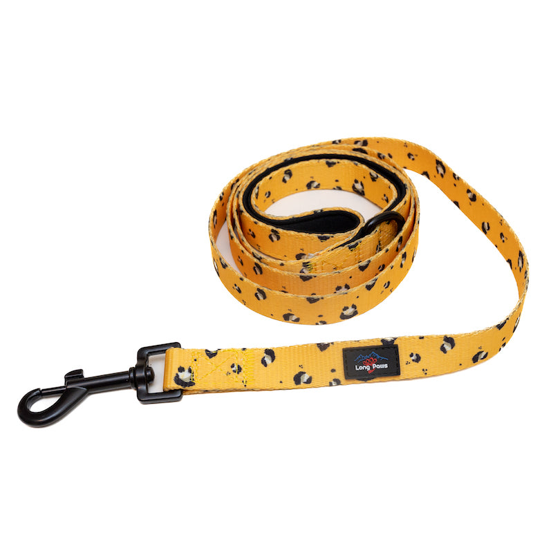 Padded Dog Lead