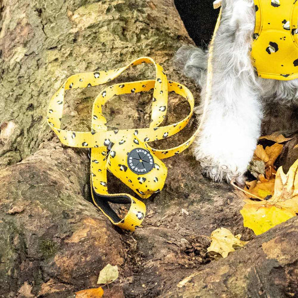 Funk the Dog Lead & Poo Bag Pouch Set | Mustard Panda