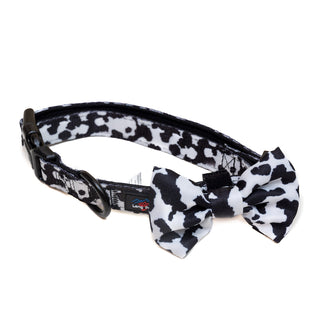 Funk the Dog Collar & Bowtie Set | Cow Print