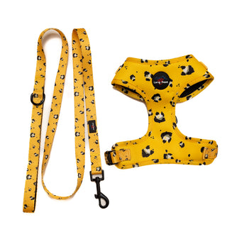 Funk the Dog Harness & Lead Set | Mustard Panda
