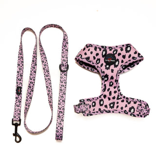 Funk the Dog Harness & Lead Set | Pink Leopard