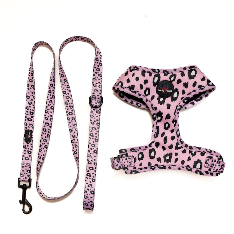 Funk the Dog Harness & Lead Set | Pink Leopard Dog Harness