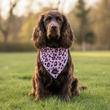 Funk The Dog Bandana | Pink Leopard