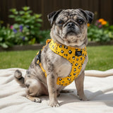 Funk The Dog Harness | Mustard Panda