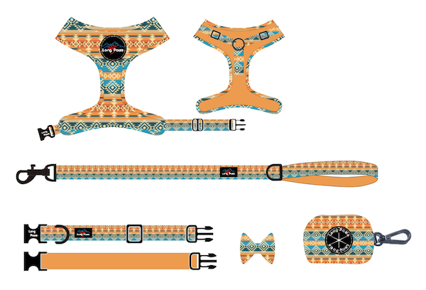 Ftd native american copy