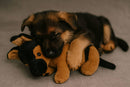 German Shepherd + Bundle-6