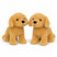 Golden Doodle