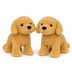 Golden Doodle