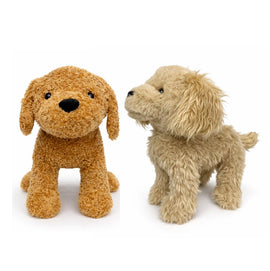 Buy tan-spaniel Golden Doodle + Bundle