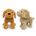 Golden Doodle