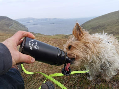 Dog Water Bottle, Lick 'n Flow, Black - 0