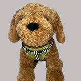 Comfort Step-in Dog Harness| Reflective | Green