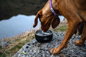 Lunar Dog Bowl - Long Paws