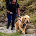 Comfort Rope Lead & Harness Set - Long Paws