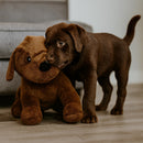 Choc Lab Retriever + Bundle-7