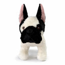 French Bulldog + Bundle-6