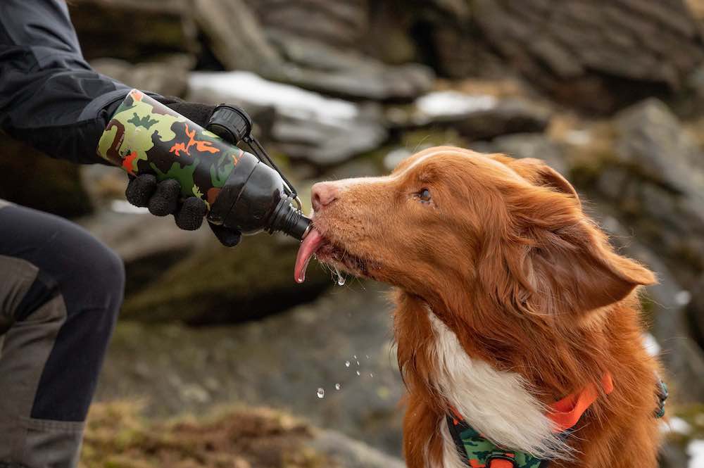 Dog Water Bottle, Lick 'n Flow, Camo - 0
