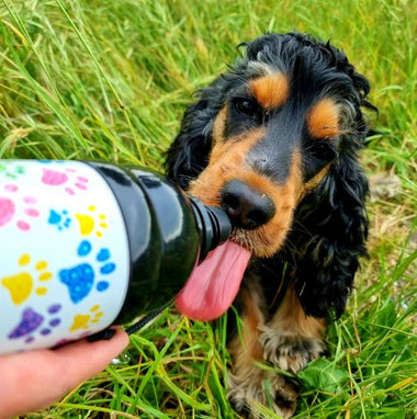 Dog Water Bottle, Lick 'n Flow, Paws - 0