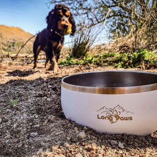Lunar Dog Bowl - Long Paws