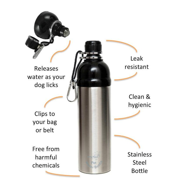 Long Paws Lick 'n Flow Dog Water Bottle Infographic