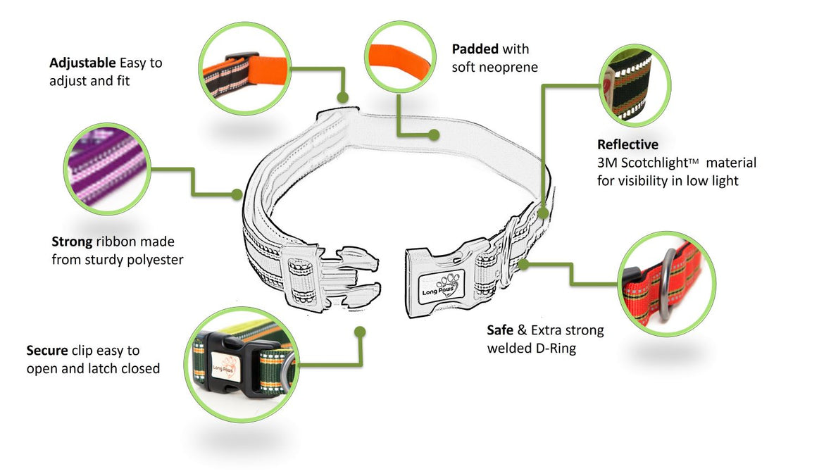 Long paws comfort collar infographic