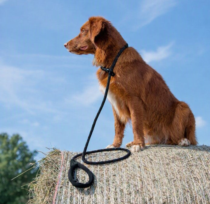 Comfort Rope Slip Lead | Black