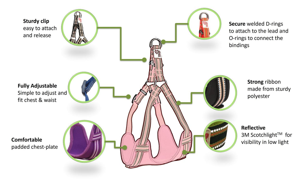 Long paws comfort harness infographic