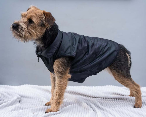 Long paws dog clothing 27