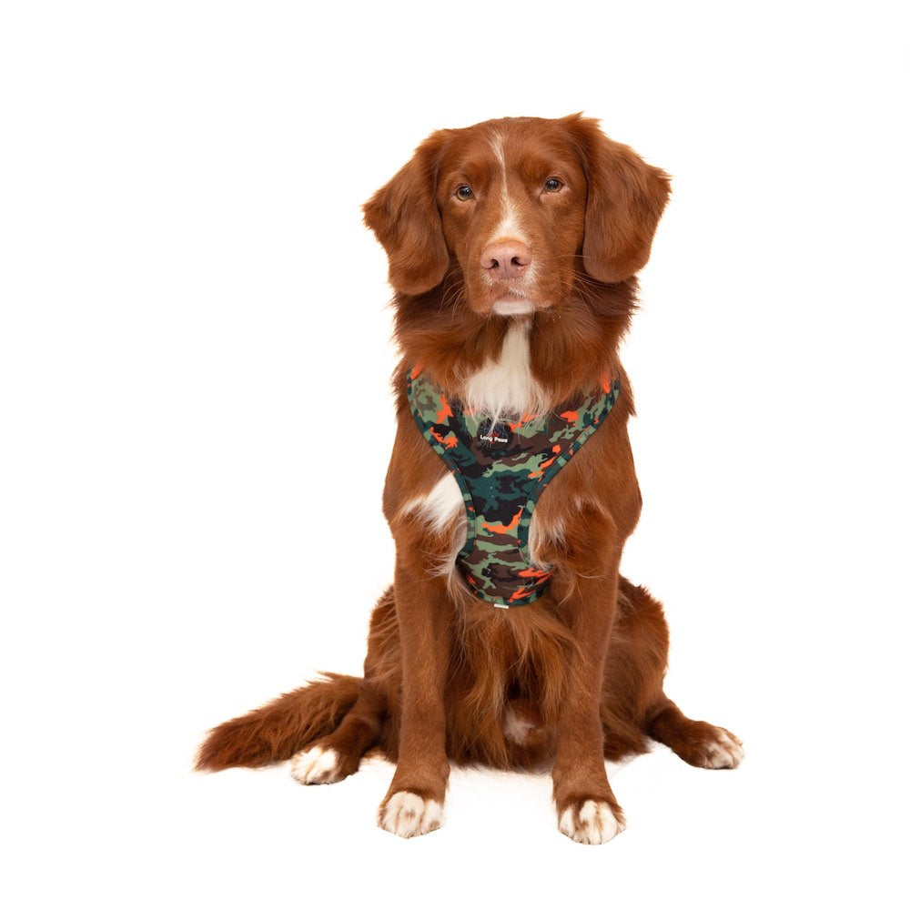 Earth Friendly - Trekker Harness and Lead Set