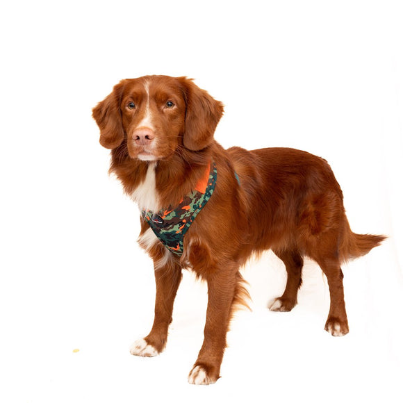 Earth Friendly - Trekker Harness