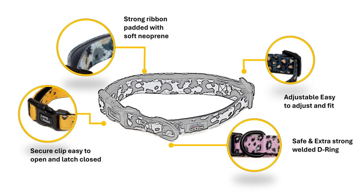 Long paws funk the dog   padded collar infographic 2