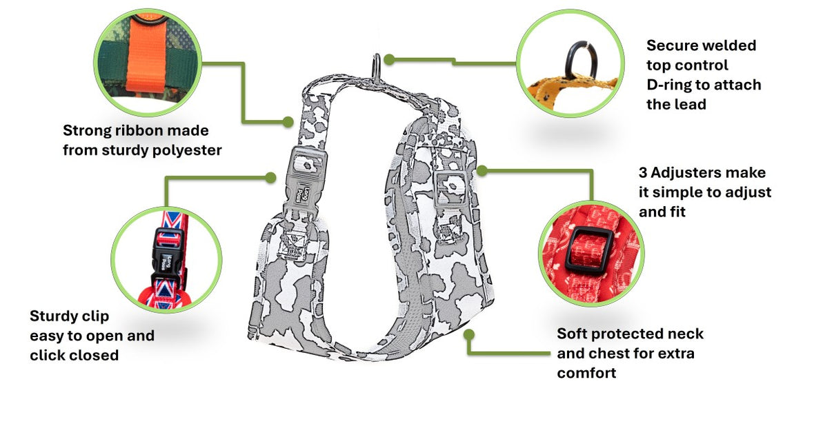 Long paws funk the dog   padded harness infographic 2