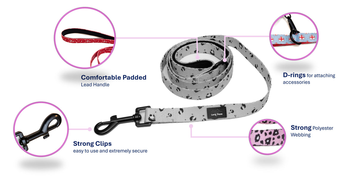 Long paws funk the dog   padded lead infographic 2 194a44f7 54b1 4adb 8c81 a0191a4a3514