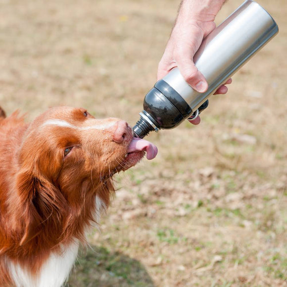 Long paws pet water bottle toller silver2
