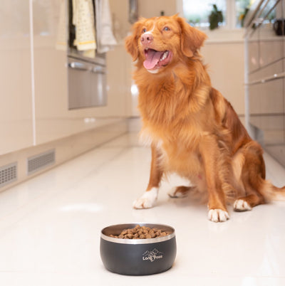 Lunar Dog Bowl - Black Dog Bowl - 0