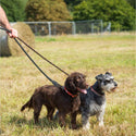 Long Paws Comfort Rope Leash, Black & All Black