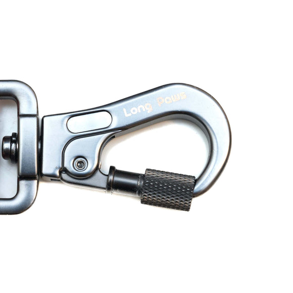 Show custom content to provide an overview of the image and heading