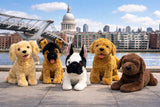 Muttley Crew Selection
