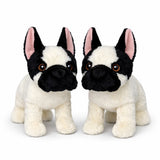 French Bulldog + Bundle