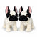 Frenchie