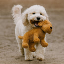 Muttley Crew Golden Doodle Shaped Dog Toy, XL-6