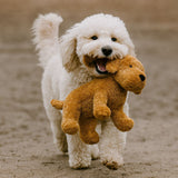 Muttley Crew Golden Doodle Shaped Dog Toy, XL