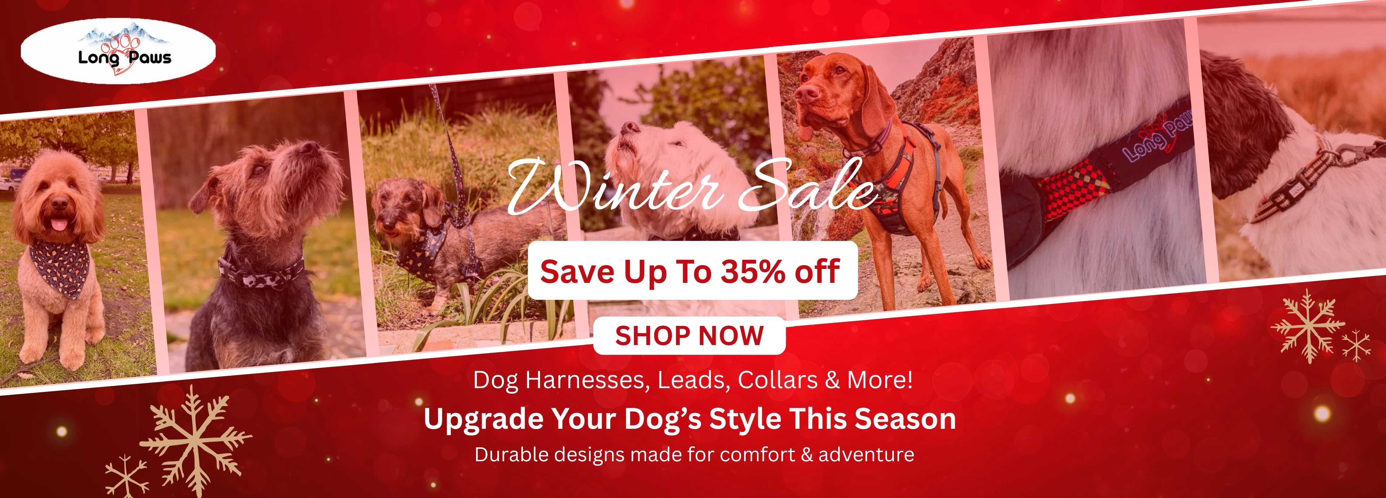 Winter sale webp