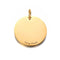 Steel Dog Tag (22mm) in Gold | Round