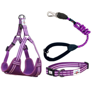 Comfort Collar, Dog Harness & Rope Lead Set - Long Paws