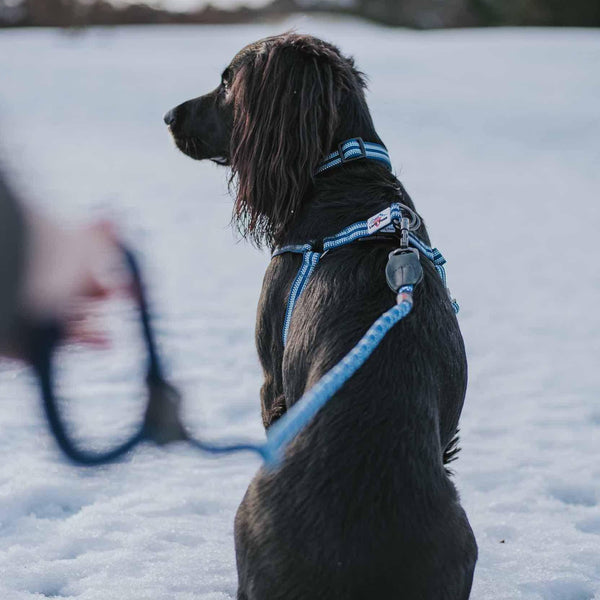 Comfort Rope Lead | SCREW Lock | Navy Blue | 48in / 120cm - Long Paws