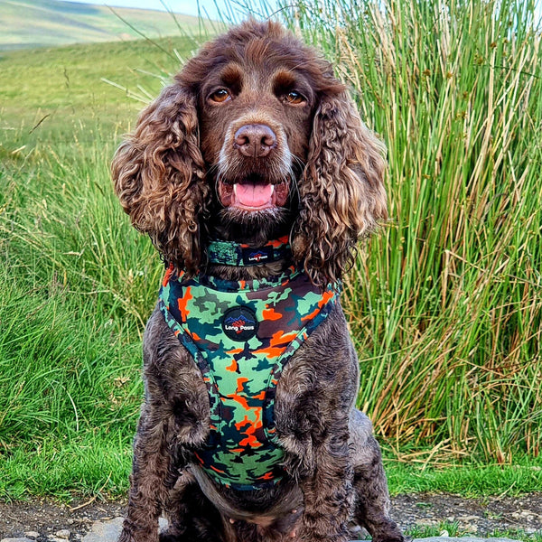 Earth Friendly - Trekker Harness - Long Paws