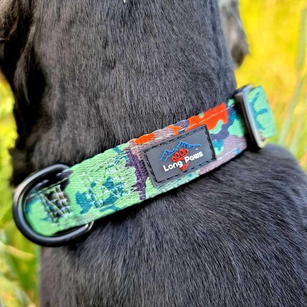 Citrus Camo Dog Collar - Long Paws